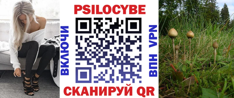 Псилоцибиновые грибы MAGIC MUSHROOMS Камешково